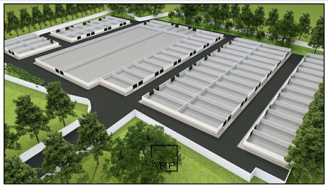 Ahinsa Green Valley Orchid