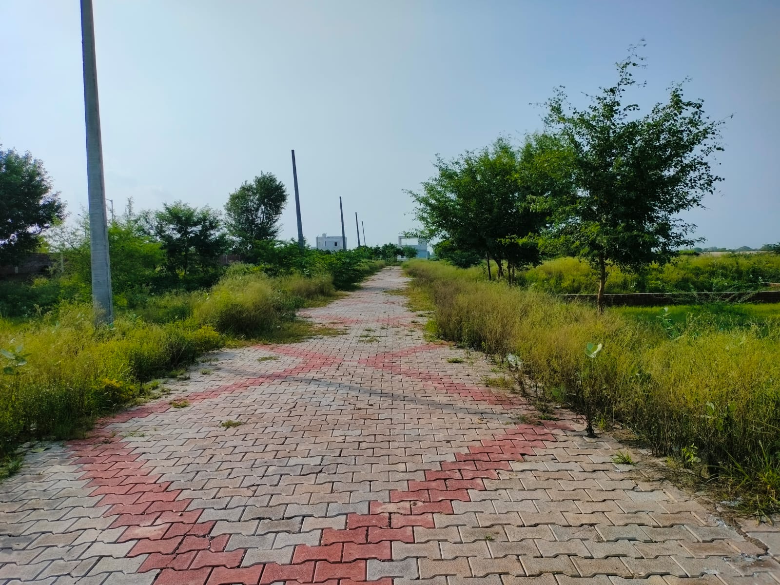 Krishna Farm