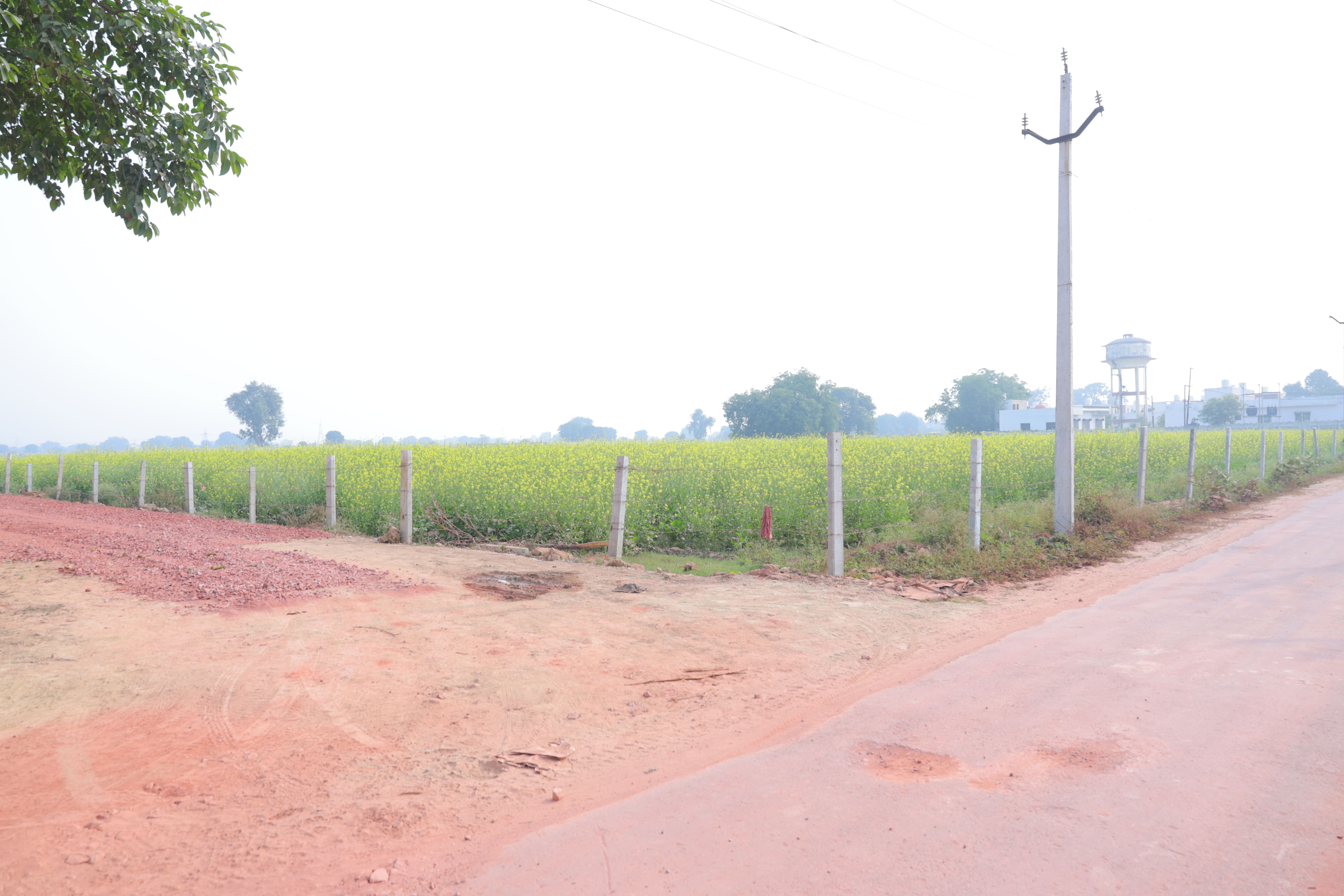 Maa Pitambara Sapphire