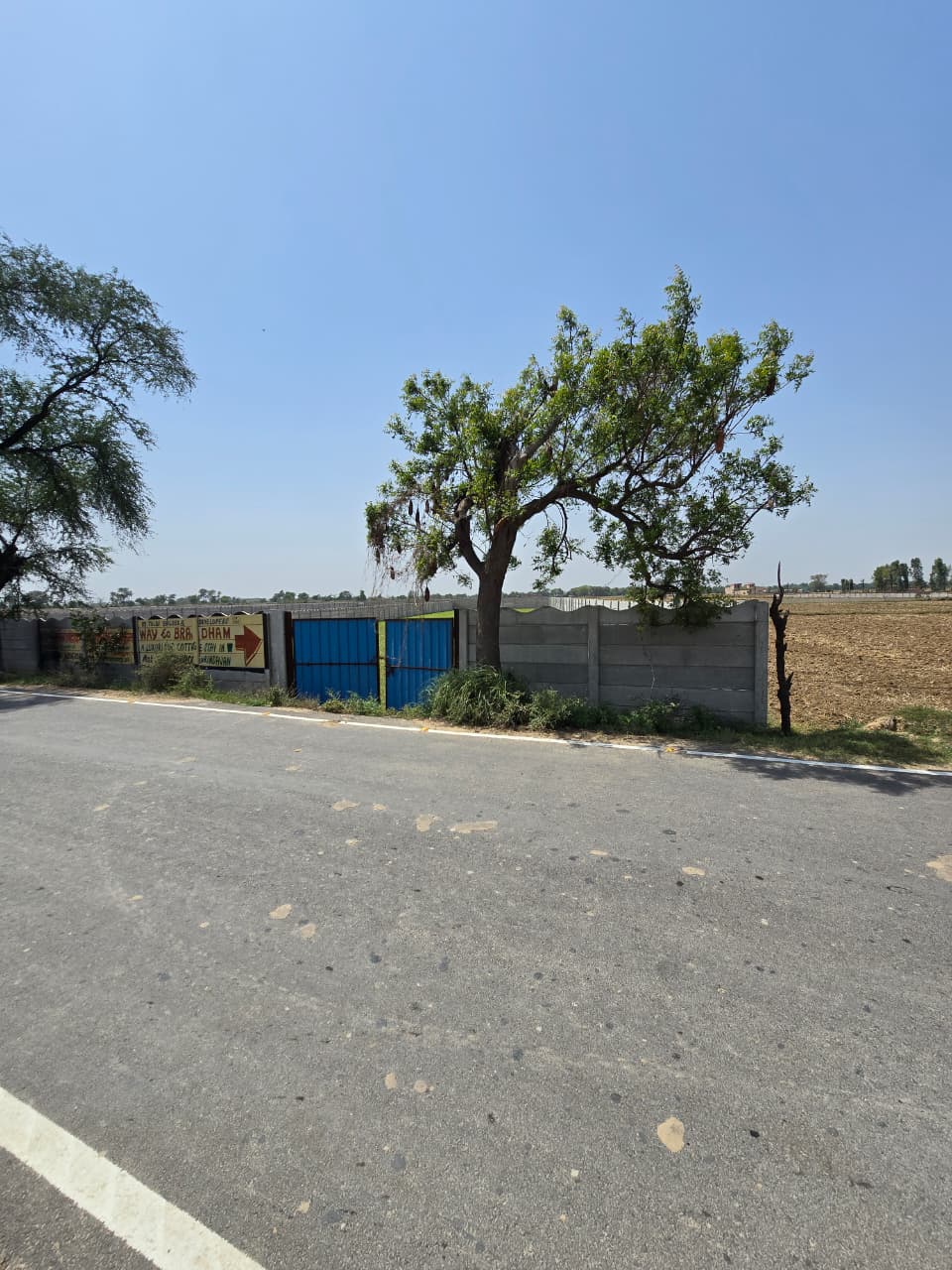 Gallery image 1