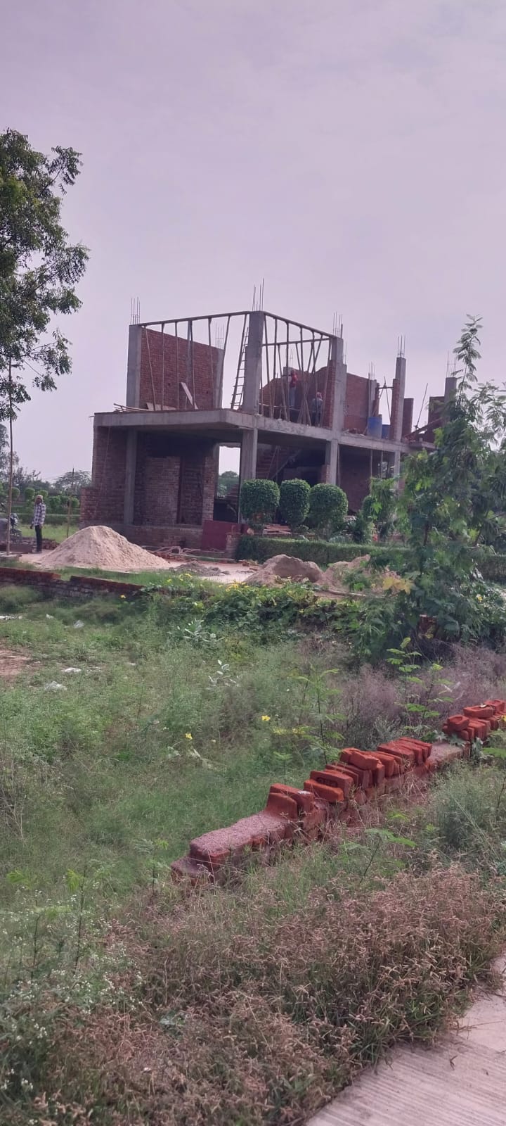 Gallery image 12