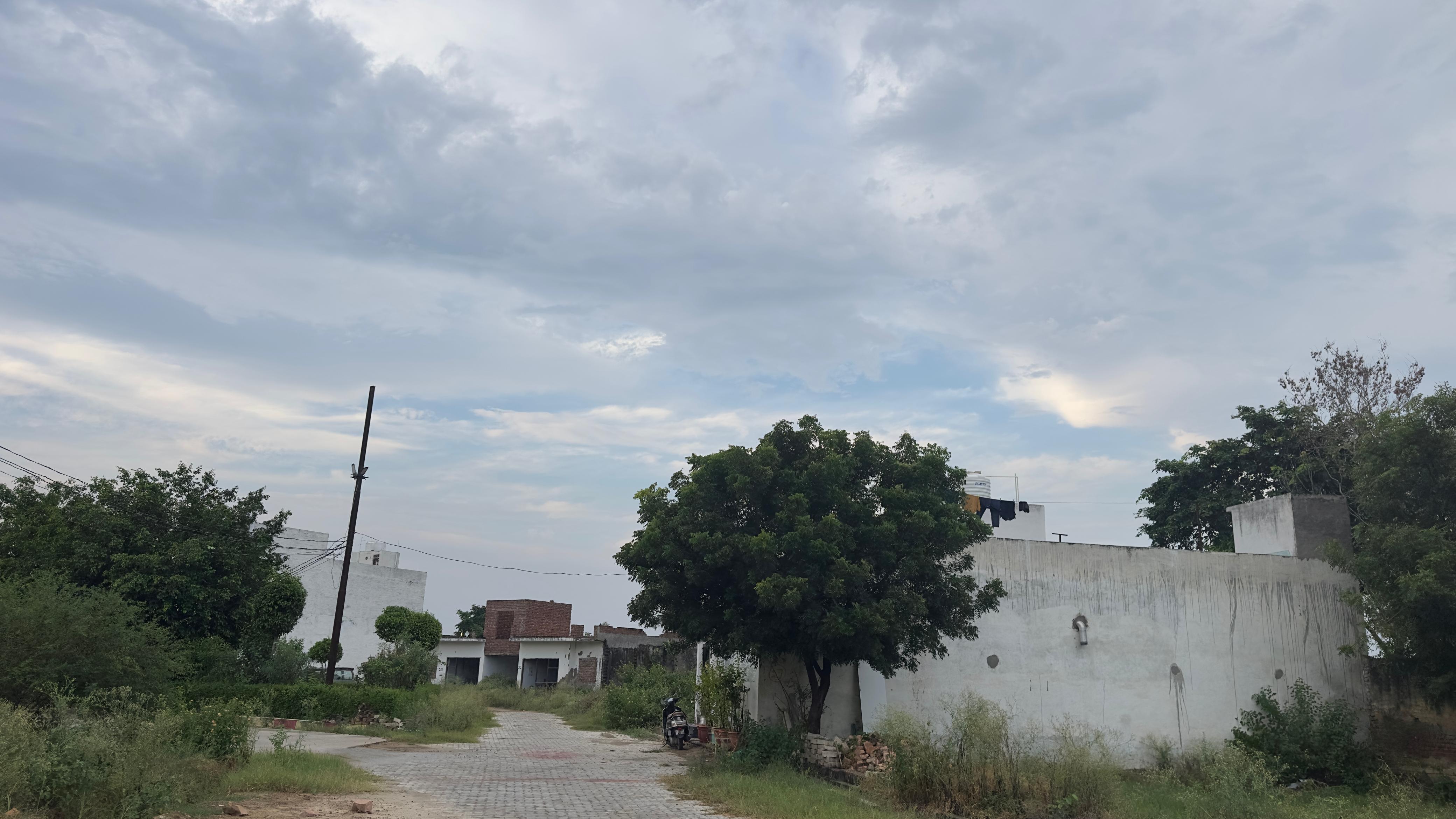 Gallery image 16
