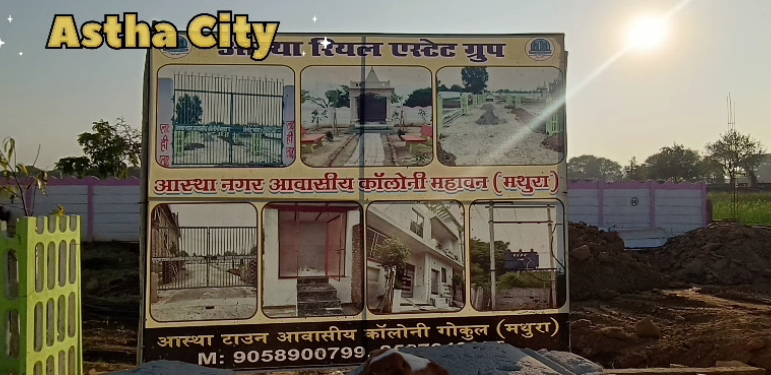 Gallery image 1