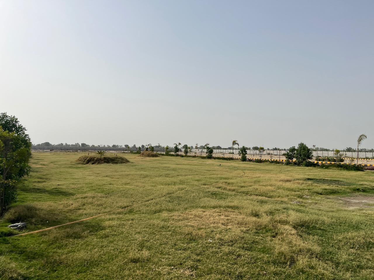 Gallery image 9