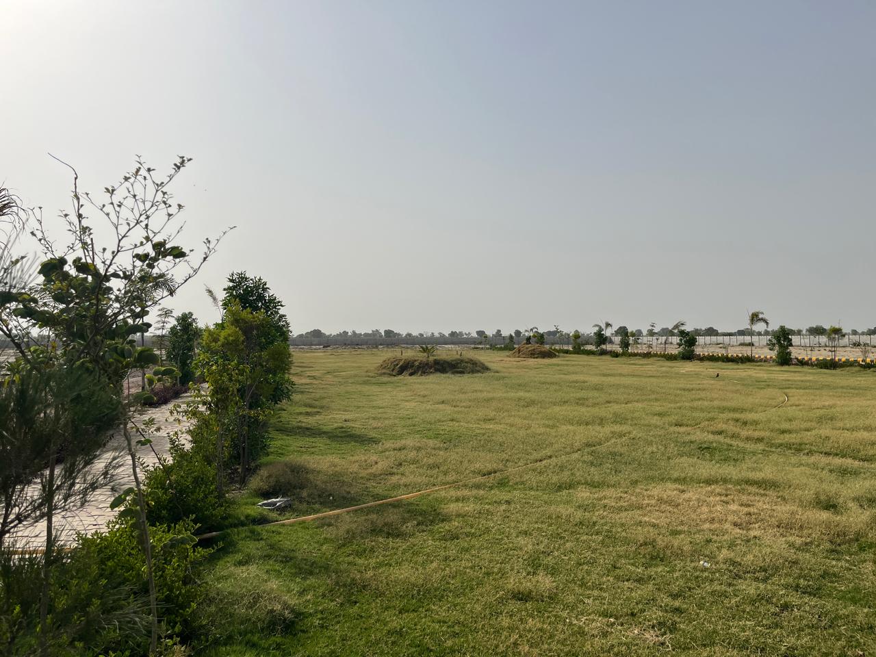 Gallery image 10