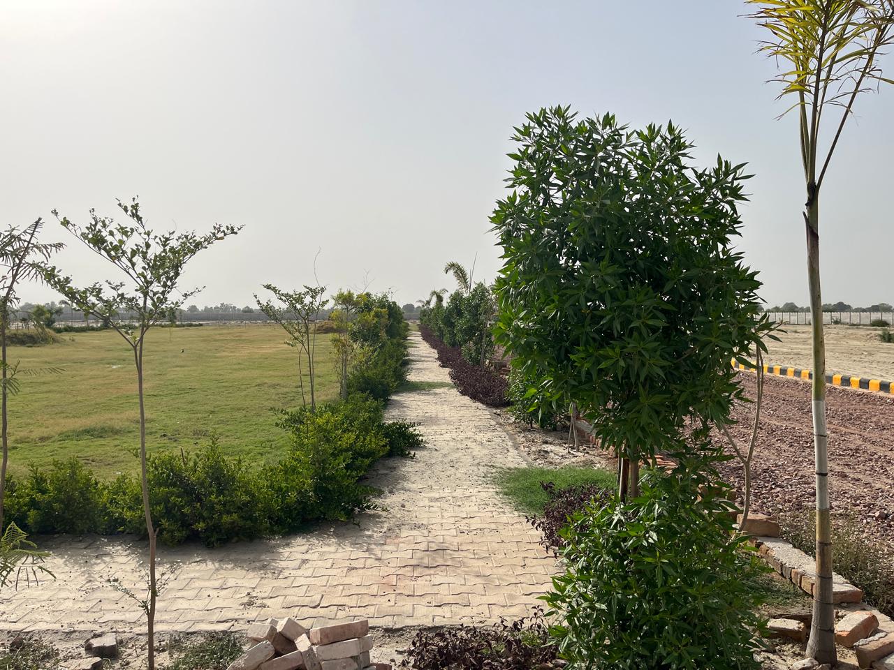 Gallery image 6