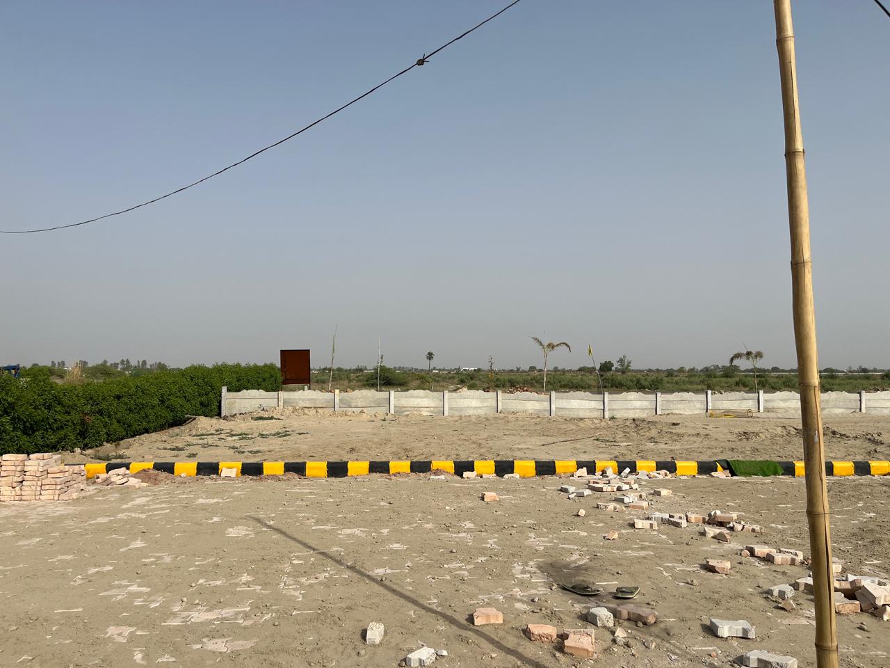 Gallery image 12