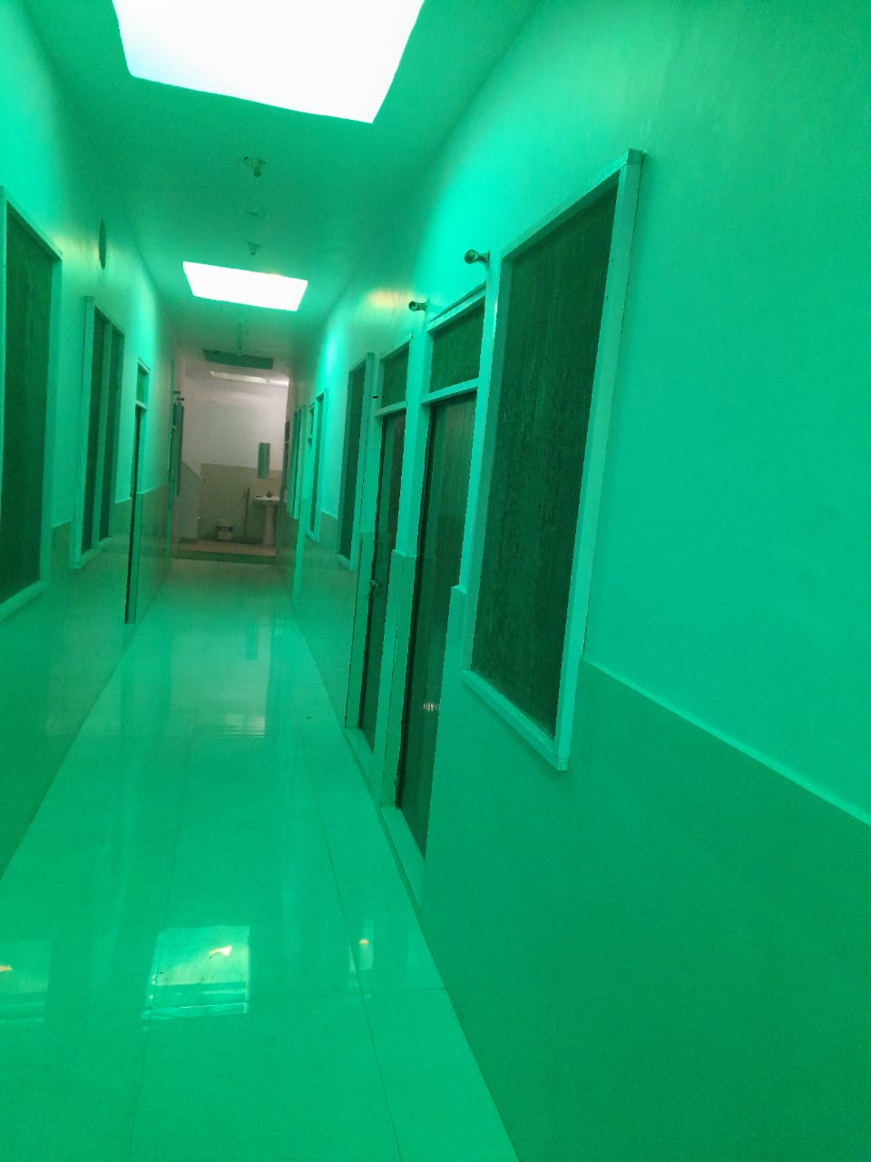 Gallery image 6