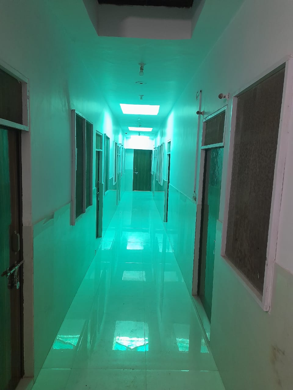 Gallery image 8