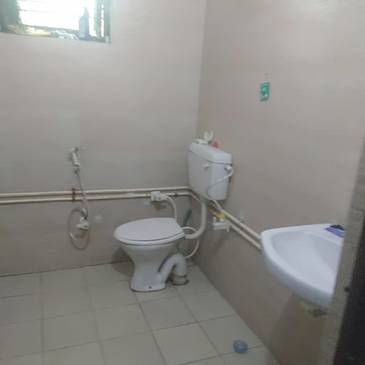 Gallery image 9