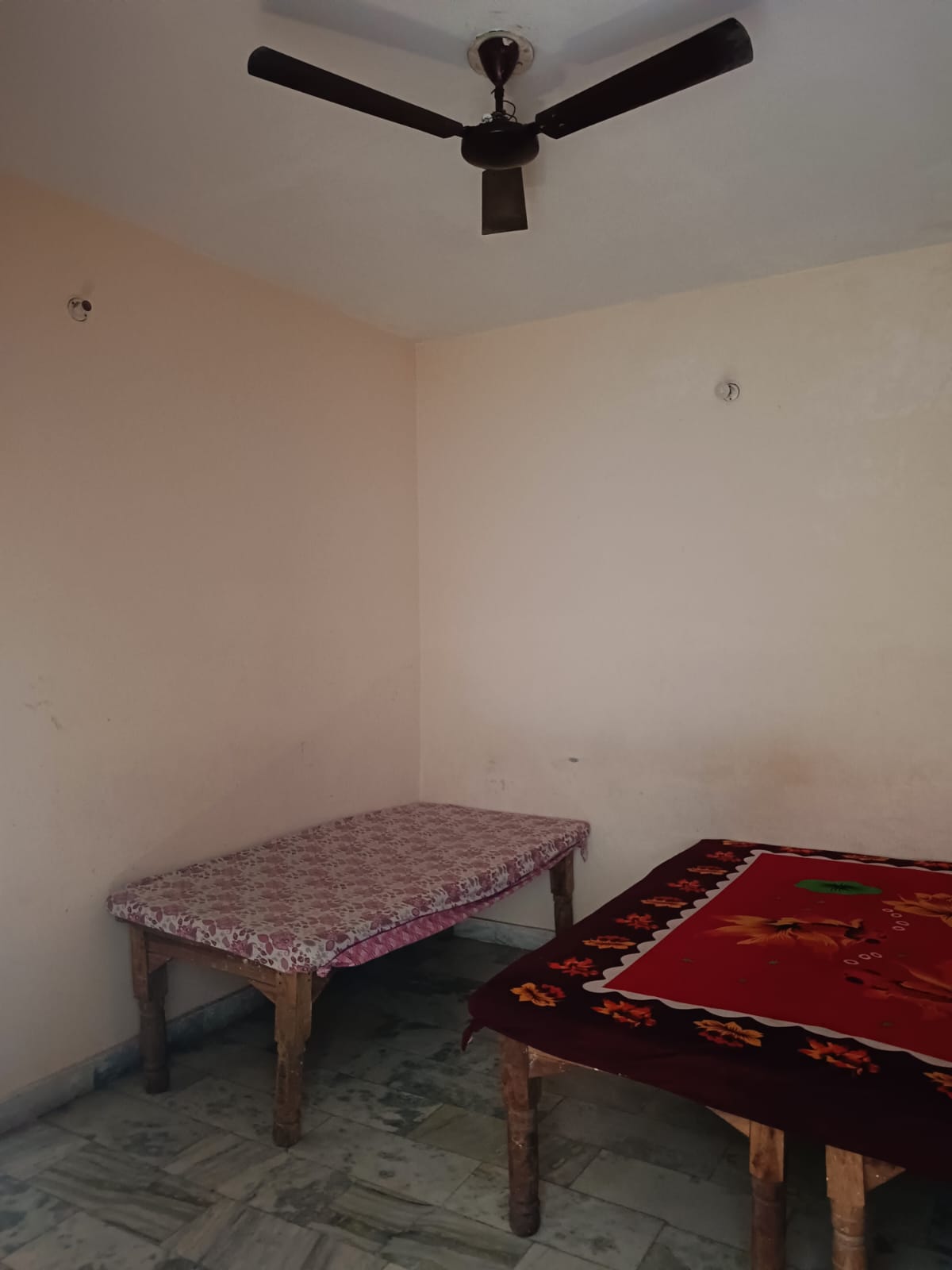 Gallery image 13