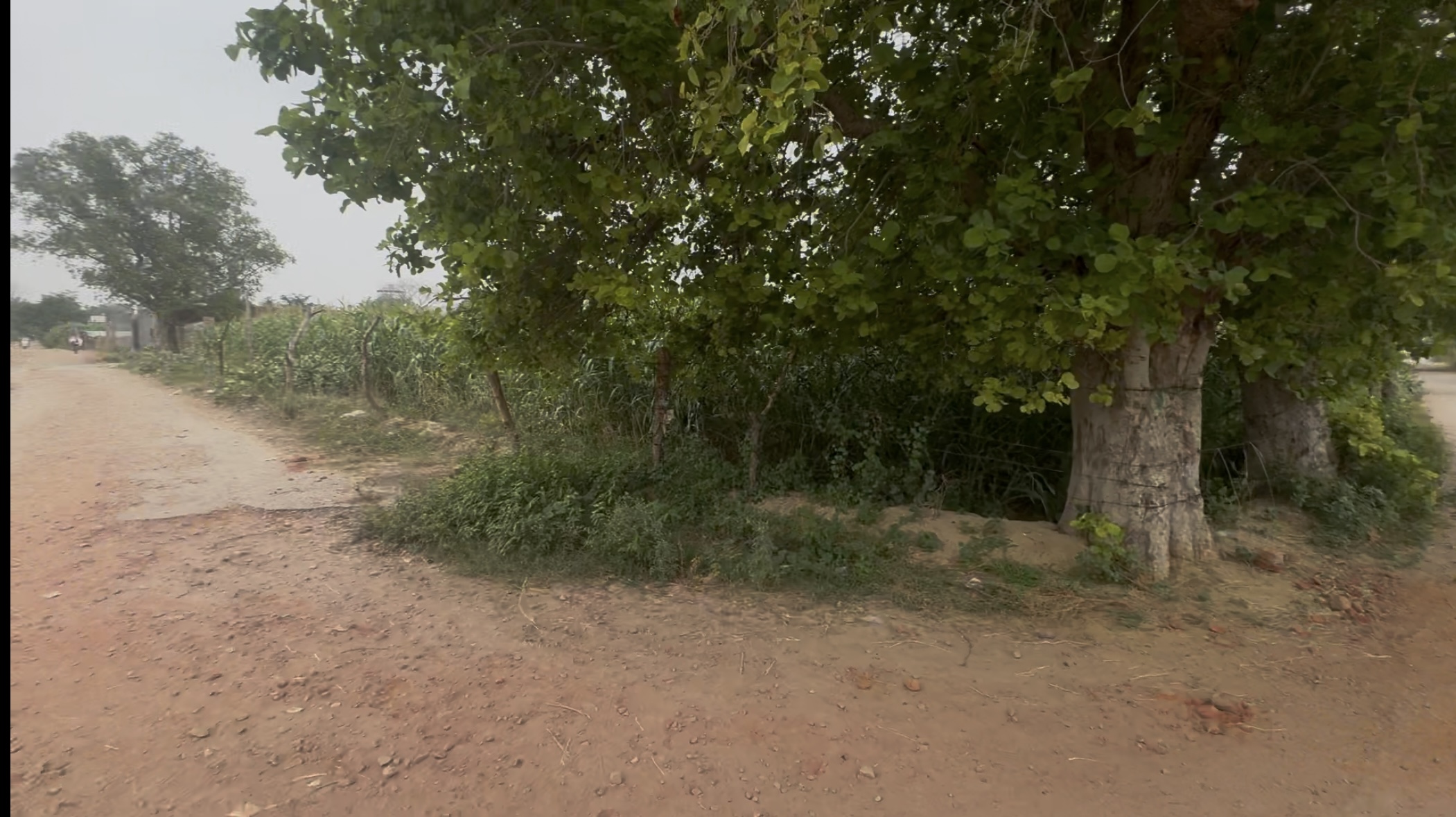 890 Sq ft Land in Bagdha