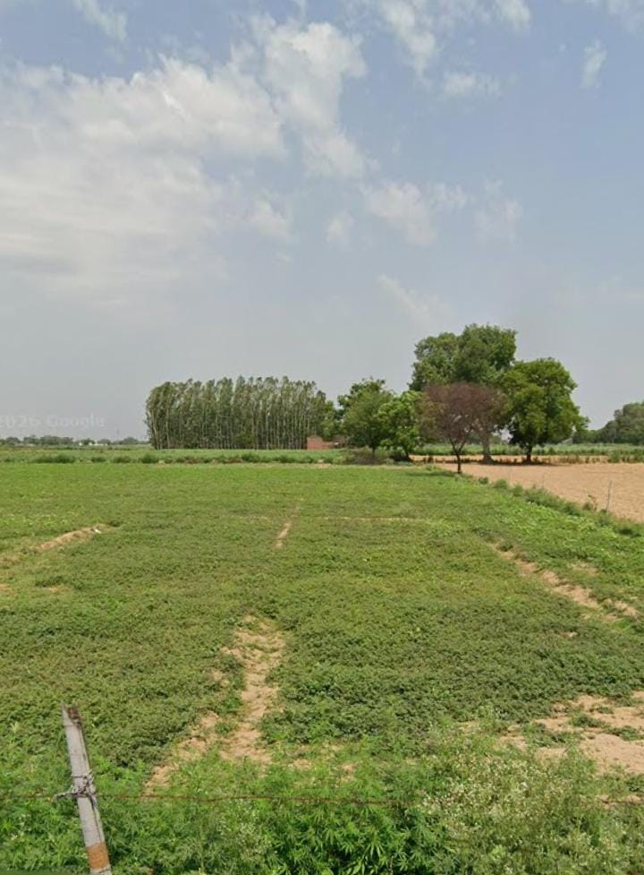 8 Beegha Land in khandoli sewla roda