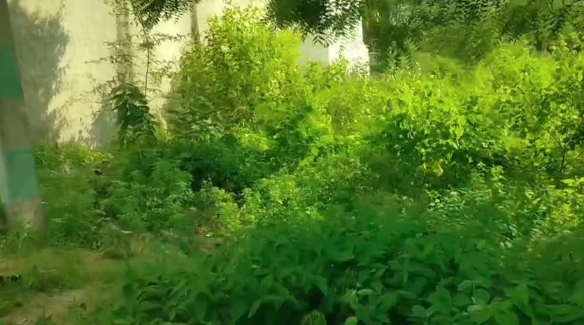 161 Sq yd Land in Taj Nagri Phase 2, Tajganj, Agra, Uttar Pradesh