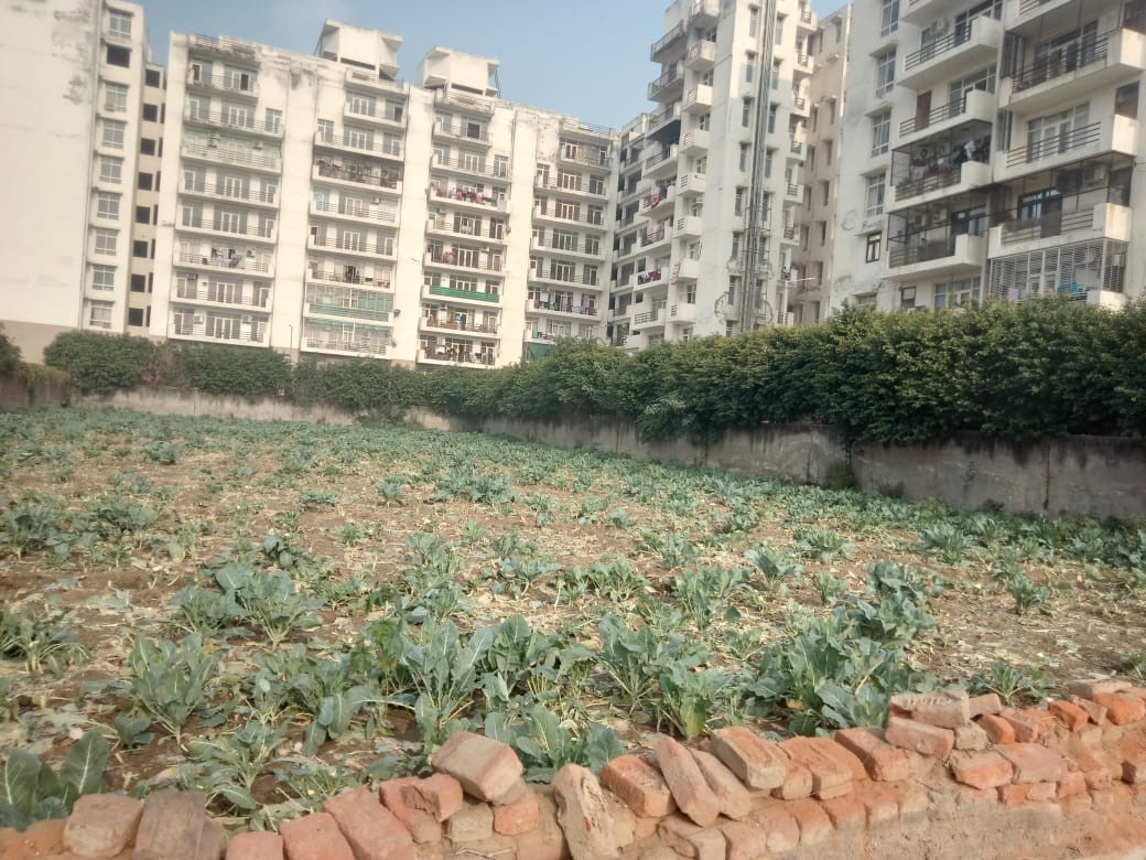 2737 Sq yd Land in Buland City Apartment, Fatehabad Road, Nagla Arahar, Bansal Nagar, Tajganj, Agra, Uttar Pradesh