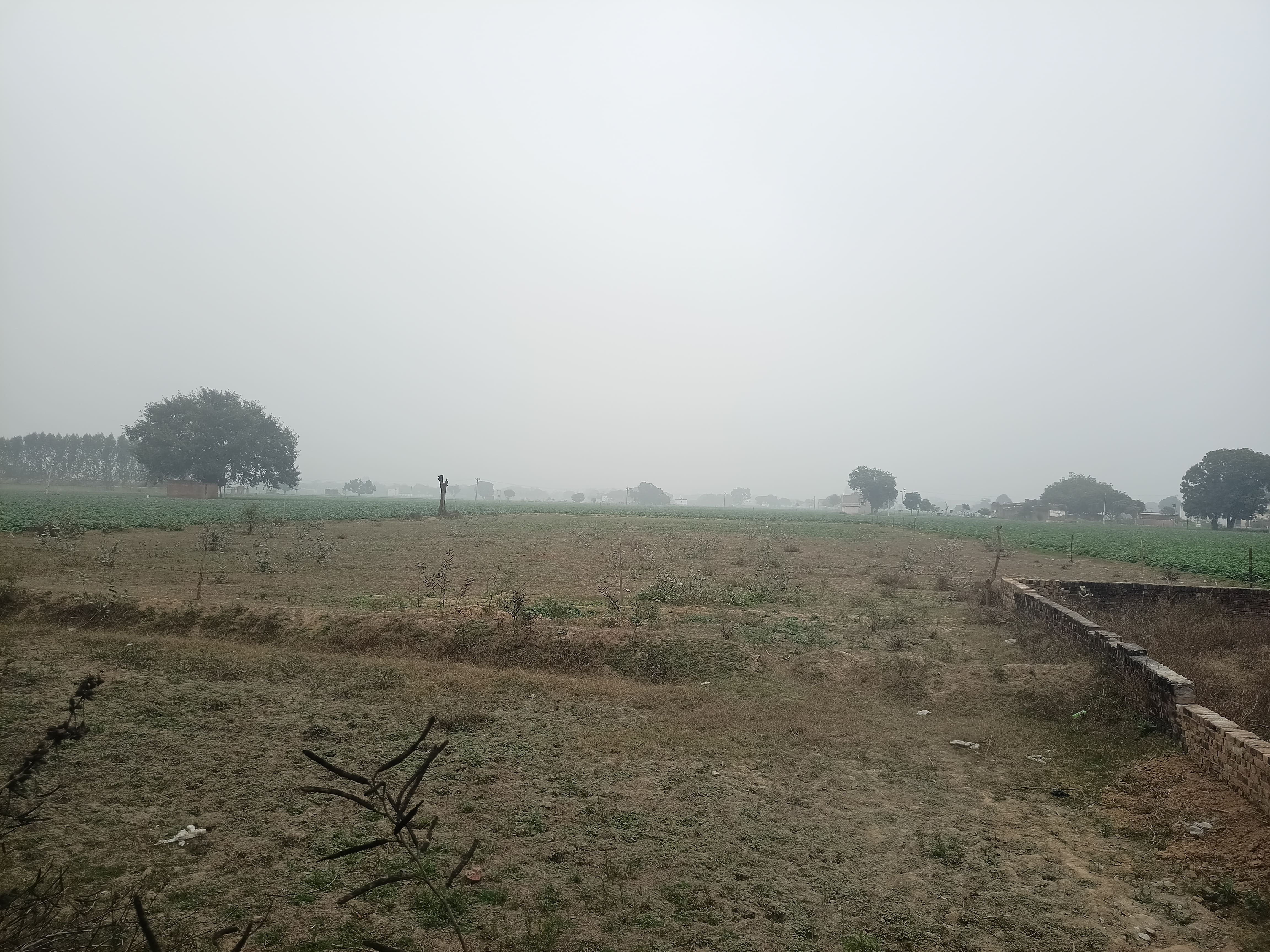 8 Beegha Land in khandauli