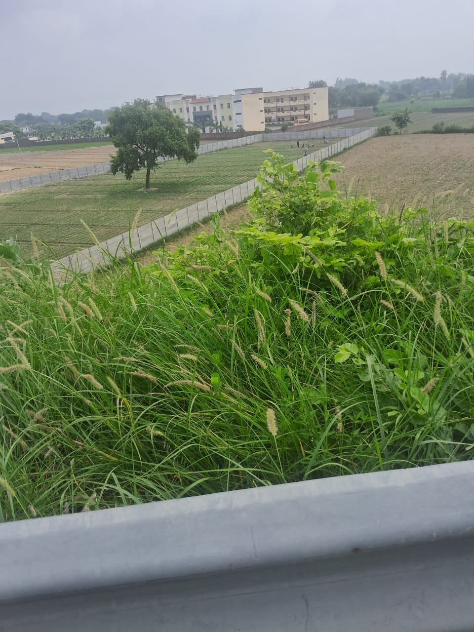 3 Beegha Land in Lakshmi Nagar