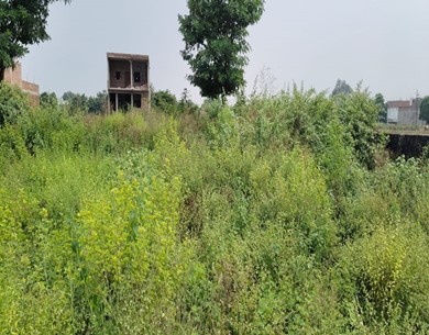 200 Sq yd Land in Rohta, Uttar Pradesh