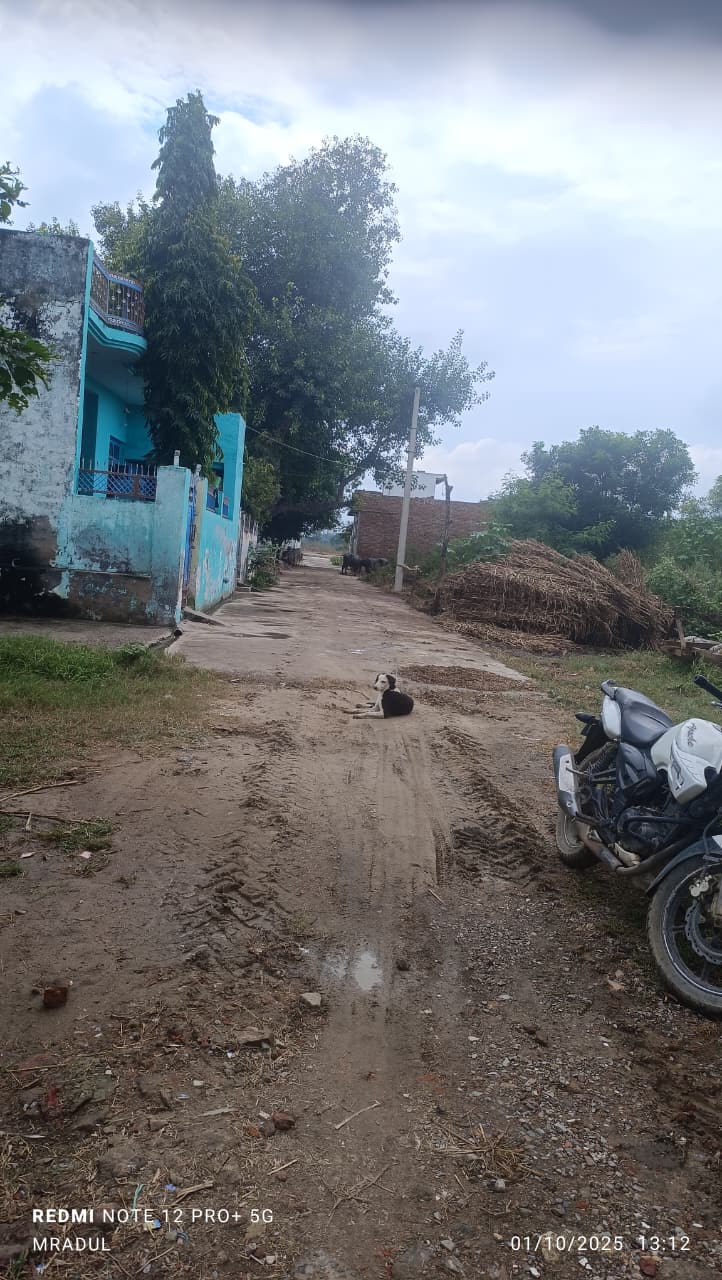 Shop (Independent Shop) in Panwari, Uttar Pradesh 210429, India