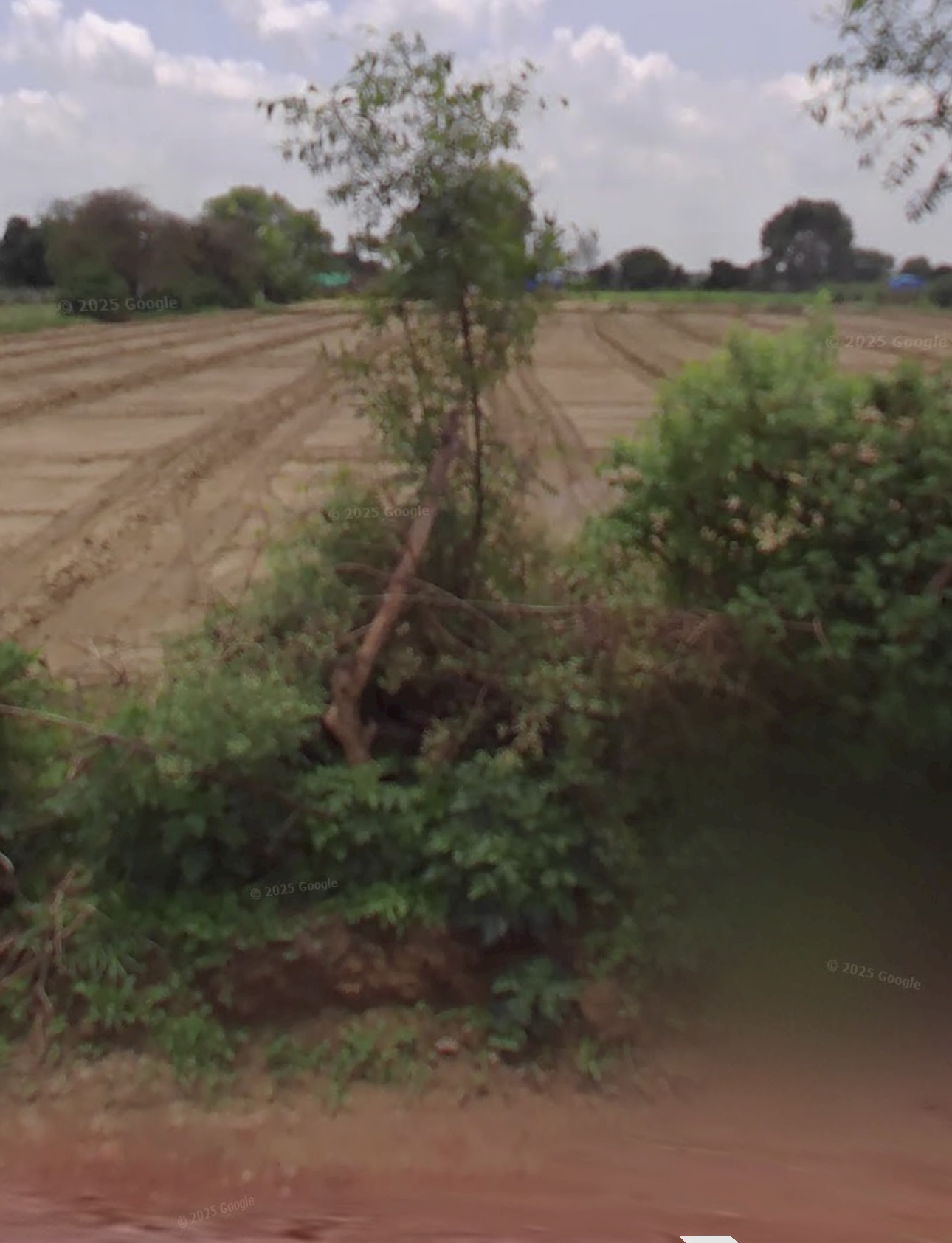 2.75 Beegha Land in G.I.GLOBAL SCHOOL, sikandar pur, DayalBagh, Agra, Uttar Pradesh