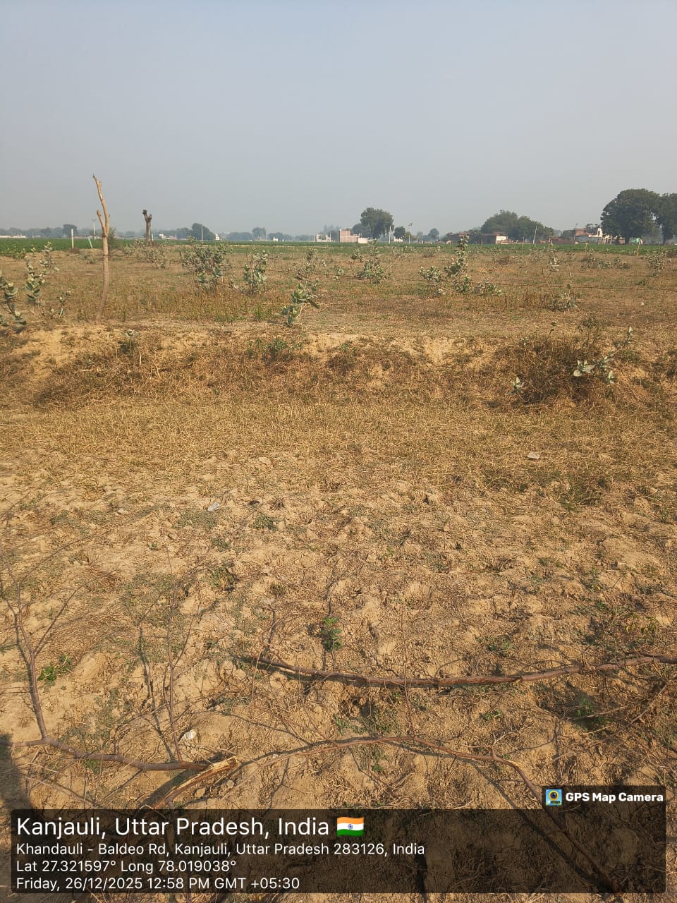 8 Beegha Land in Khandoli, Uttar Pradesh