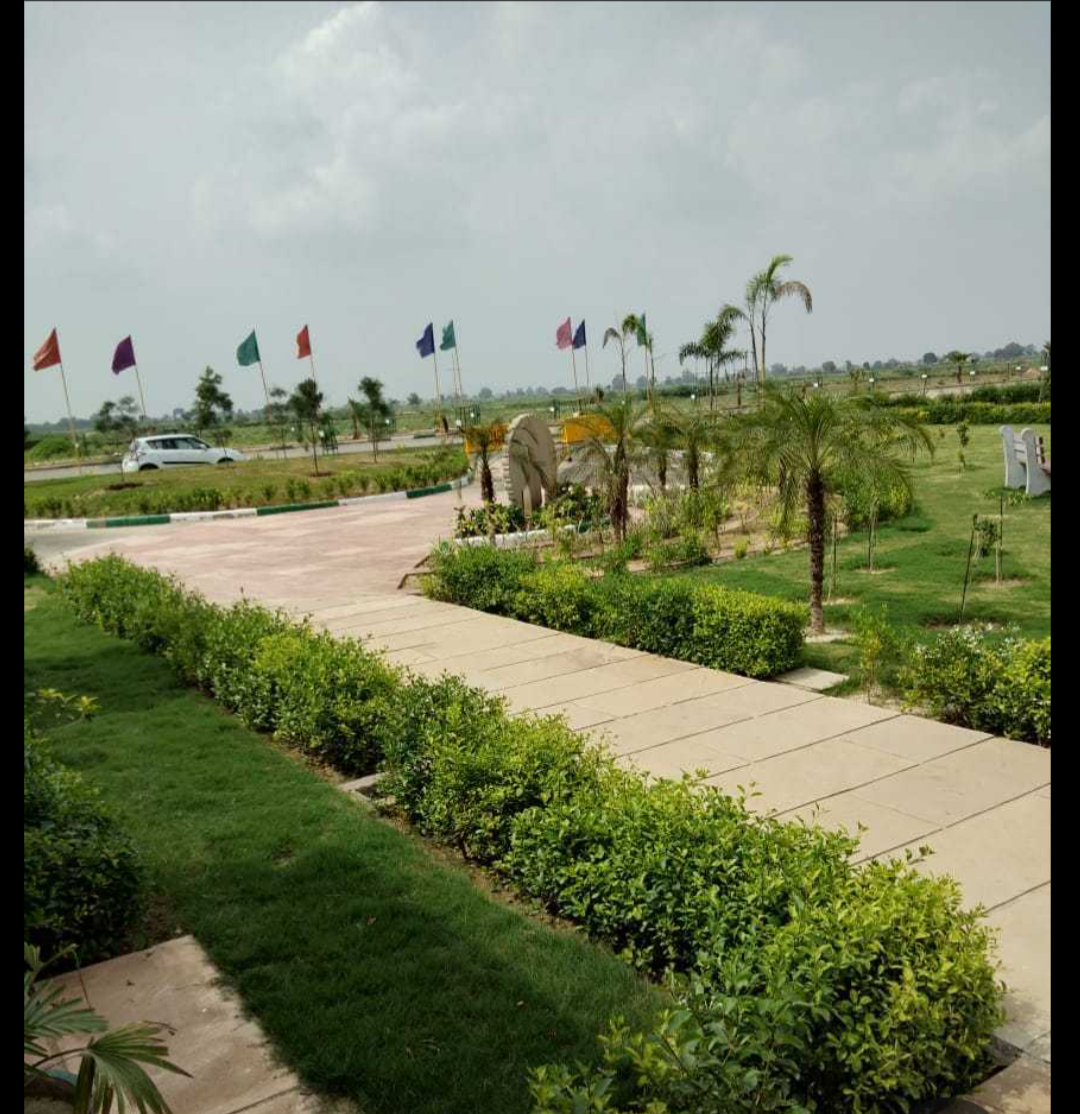 Gallery image 1