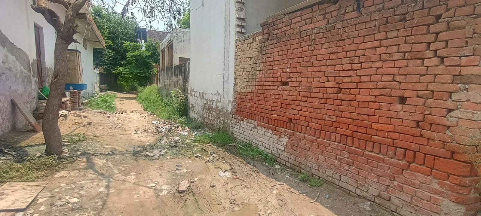 Gallery image 1