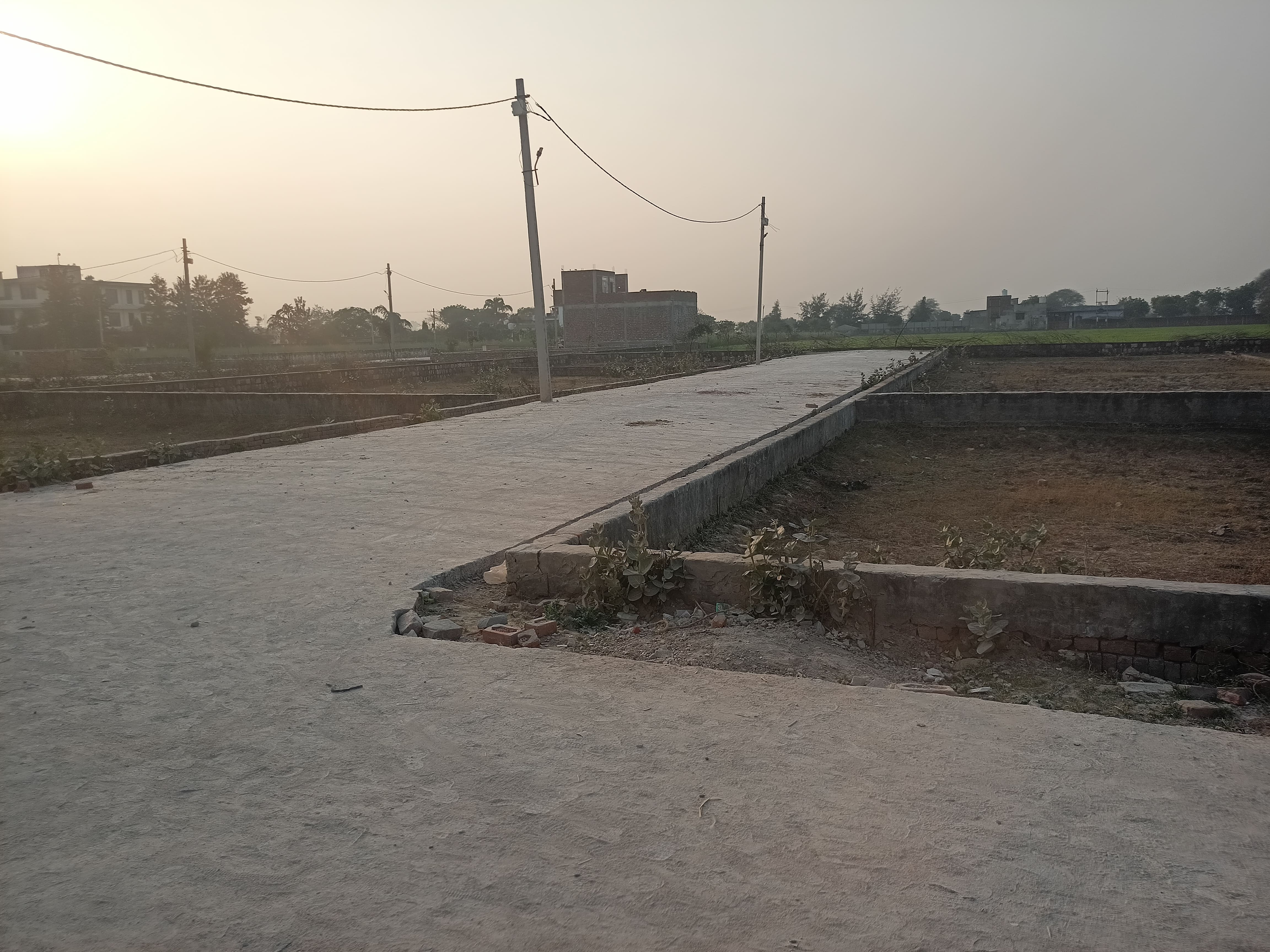 Gallery image 6