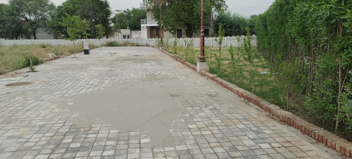 Gallery image 3