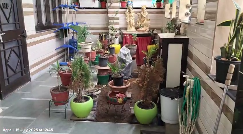 Gallery image 6