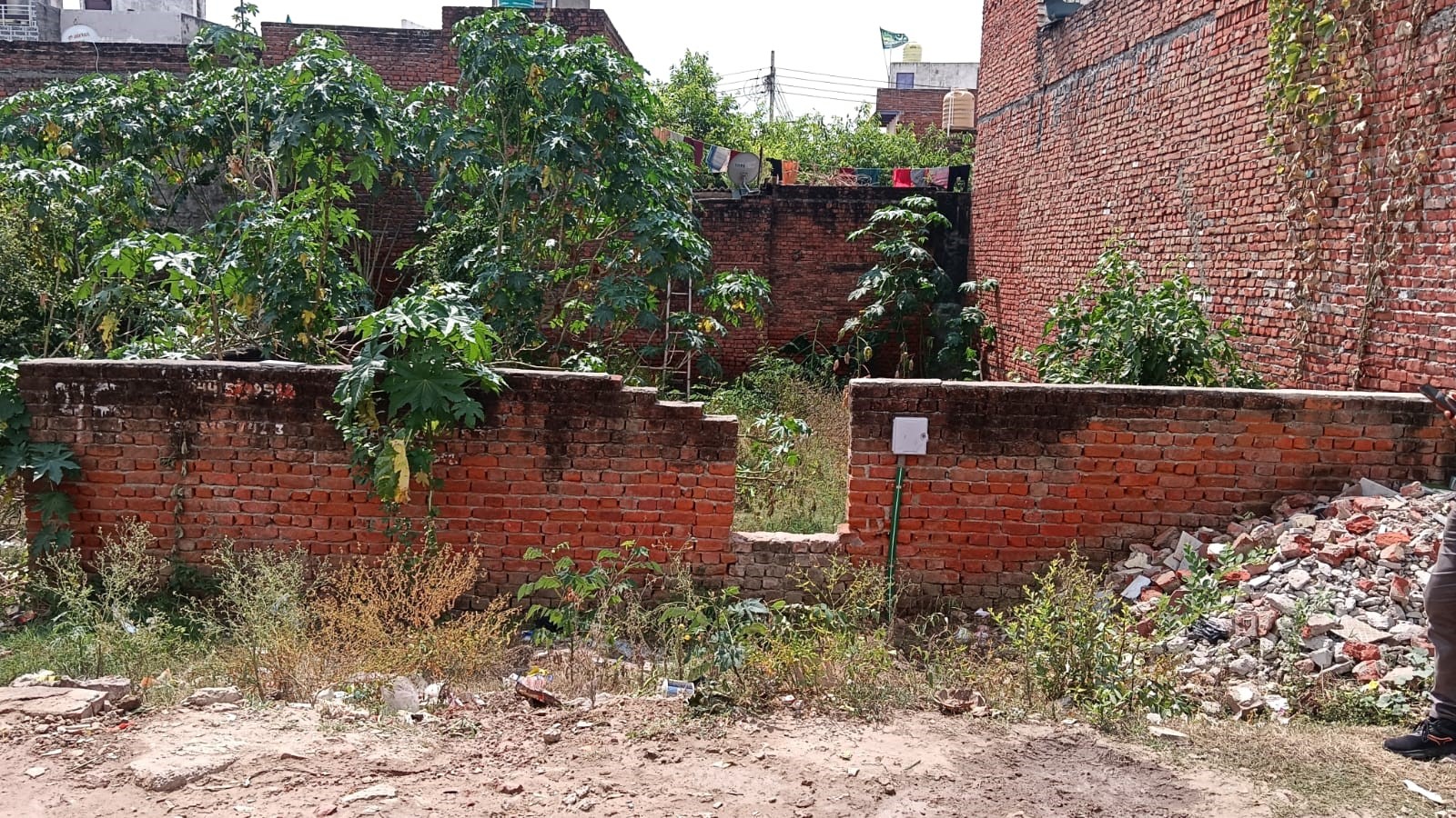 Gallery image 1