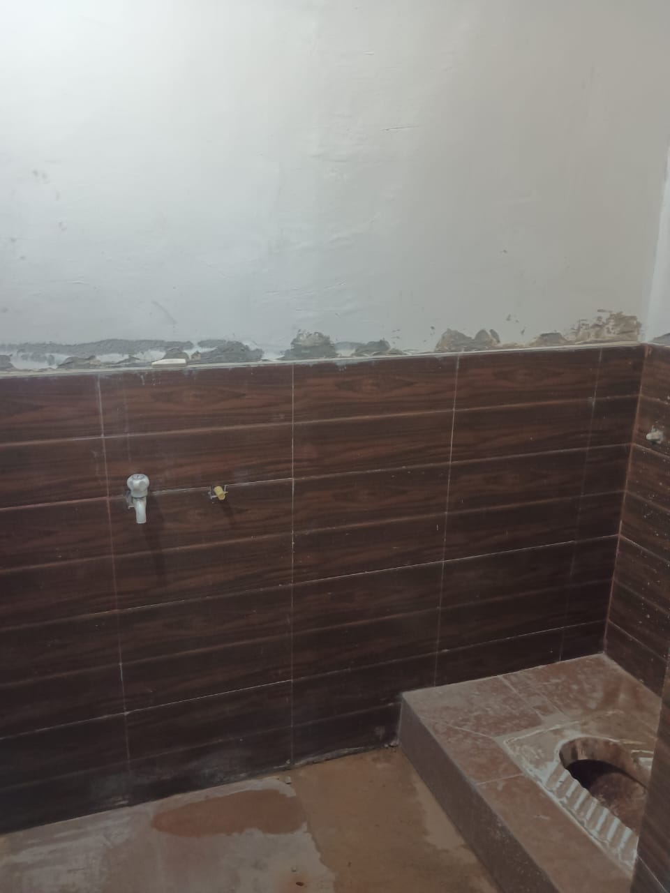 Gallery image 14