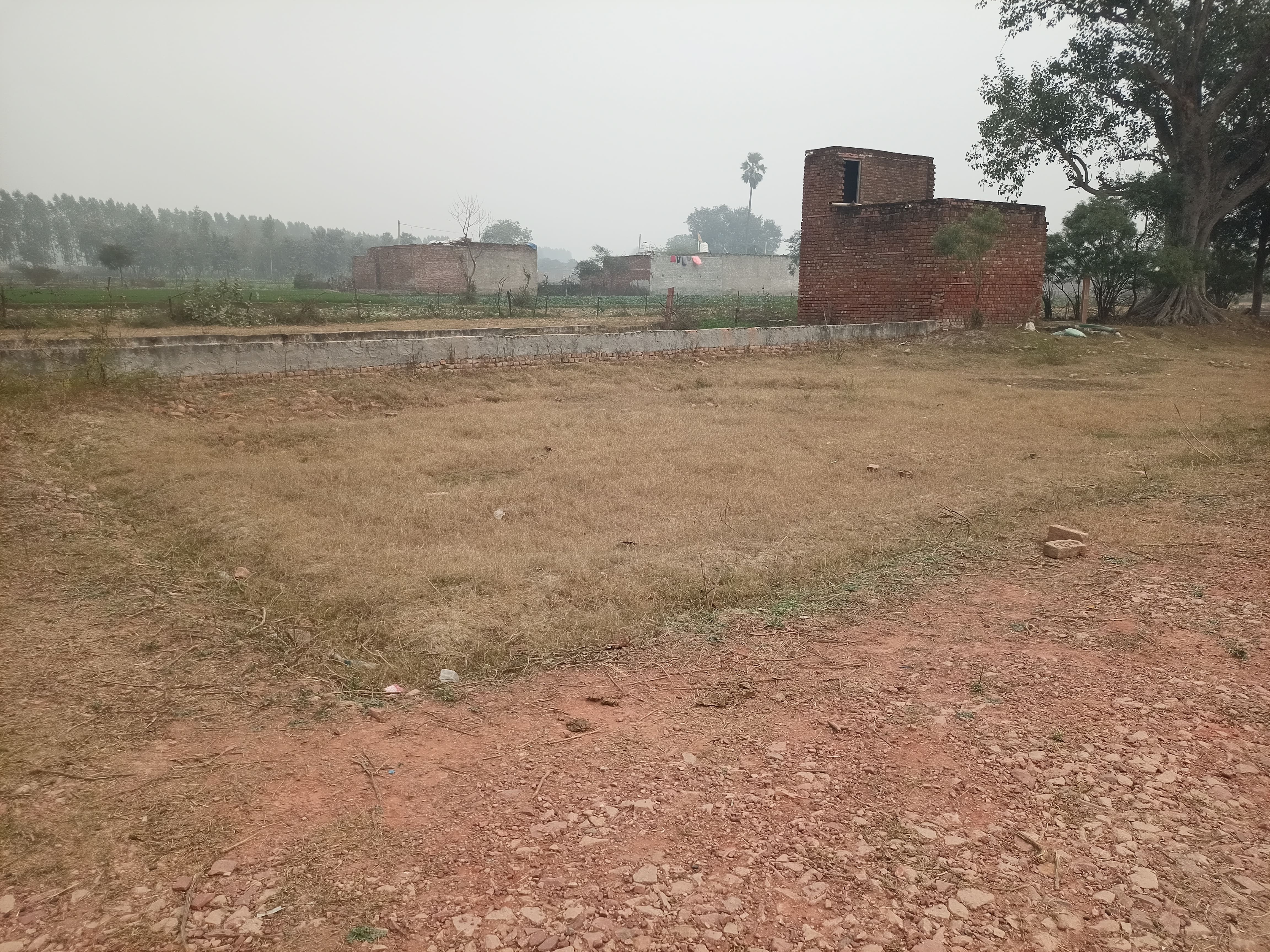 Gallery image 6