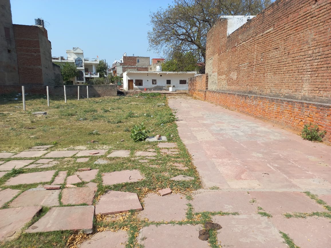 Gallery image 10