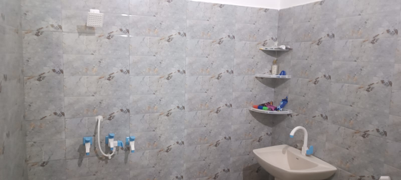 Gallery image 13