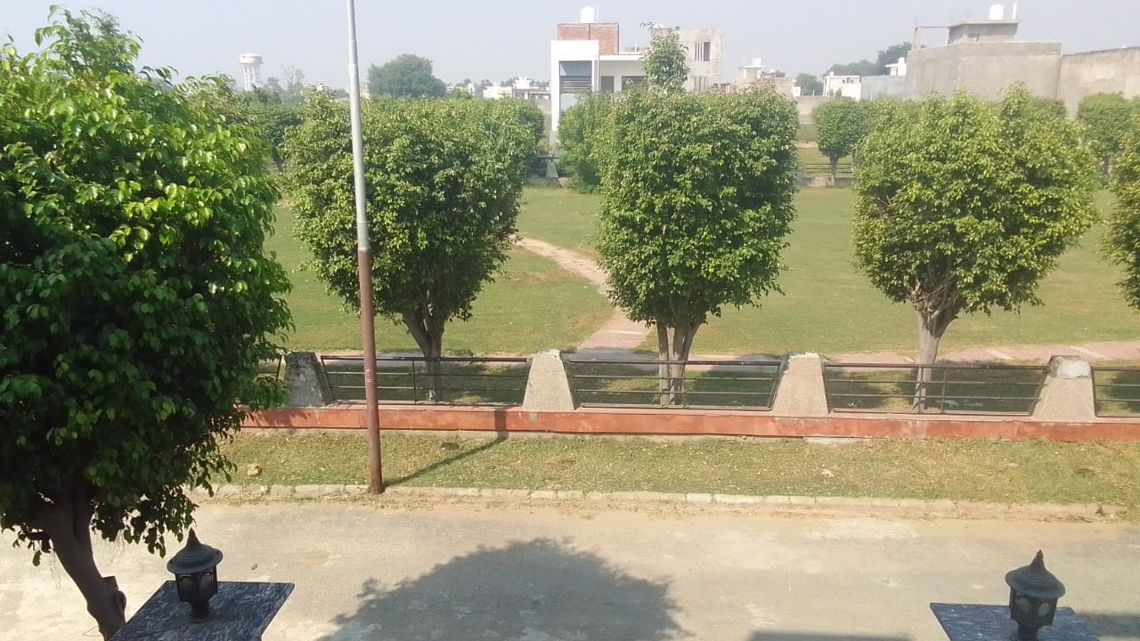 Gallery image 9