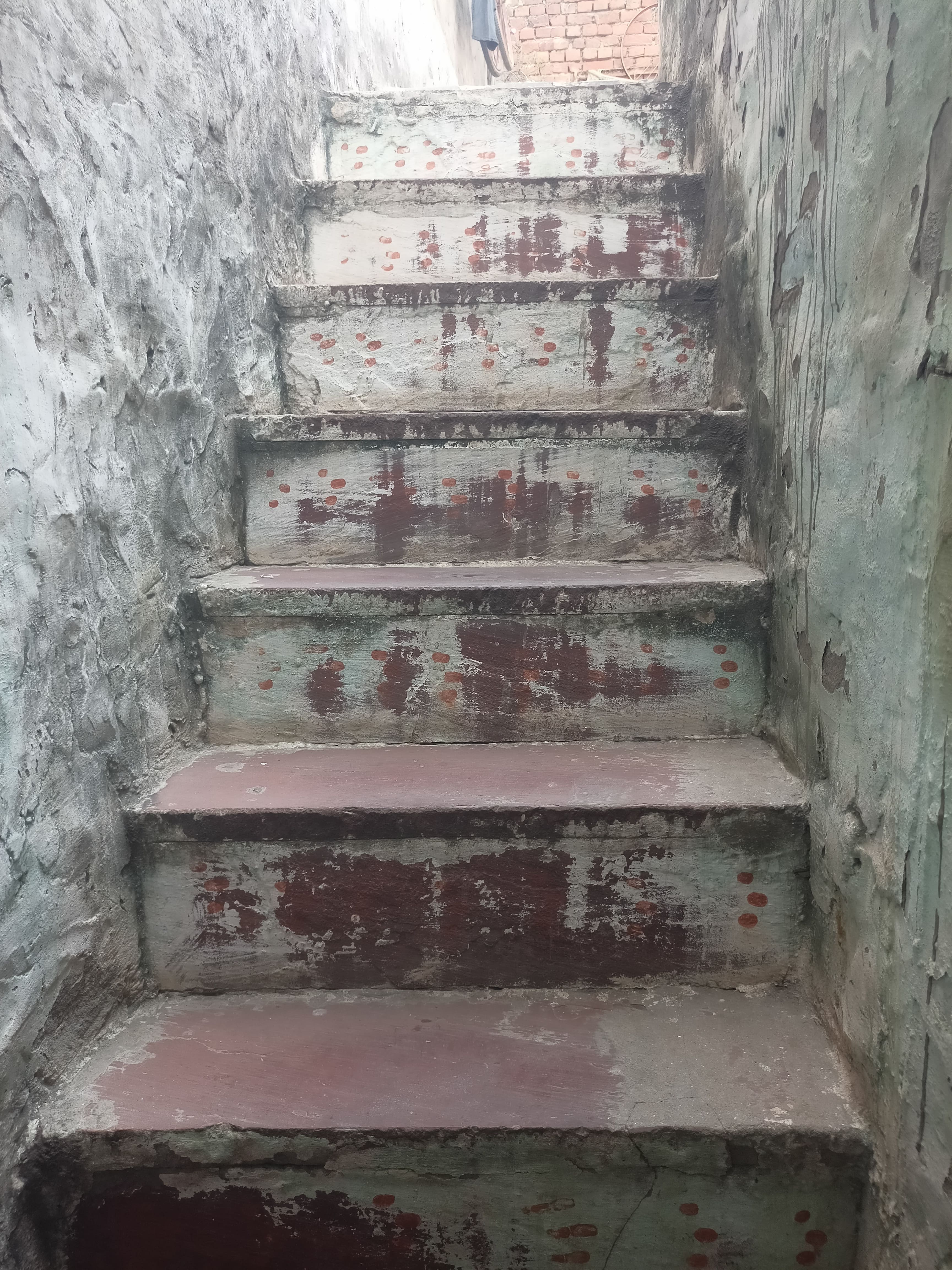Gallery image 7