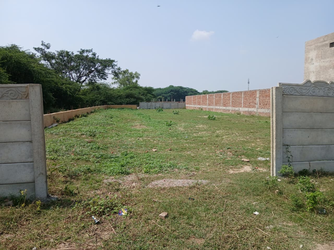 Gallery image 10