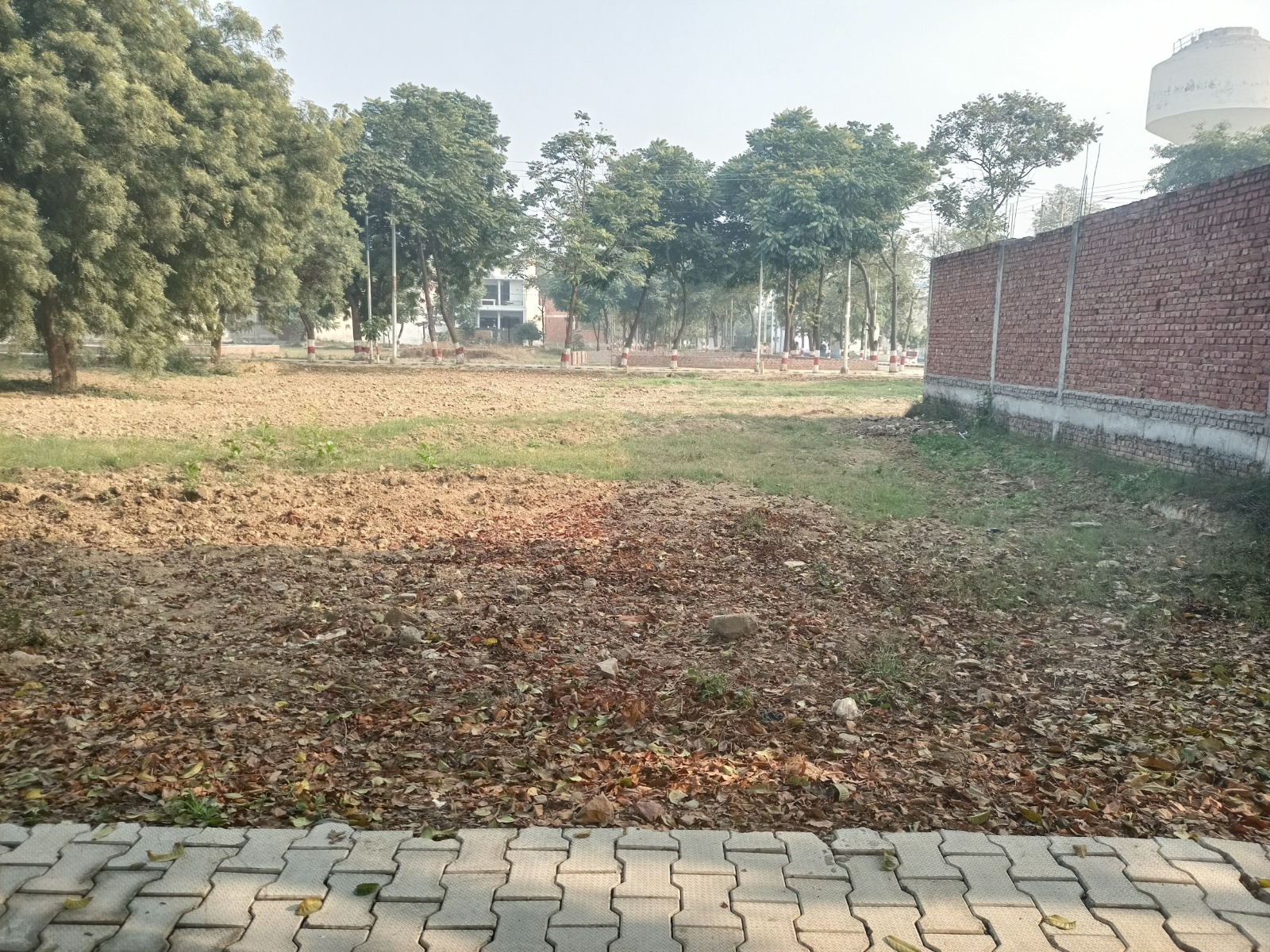 Gallery image 1