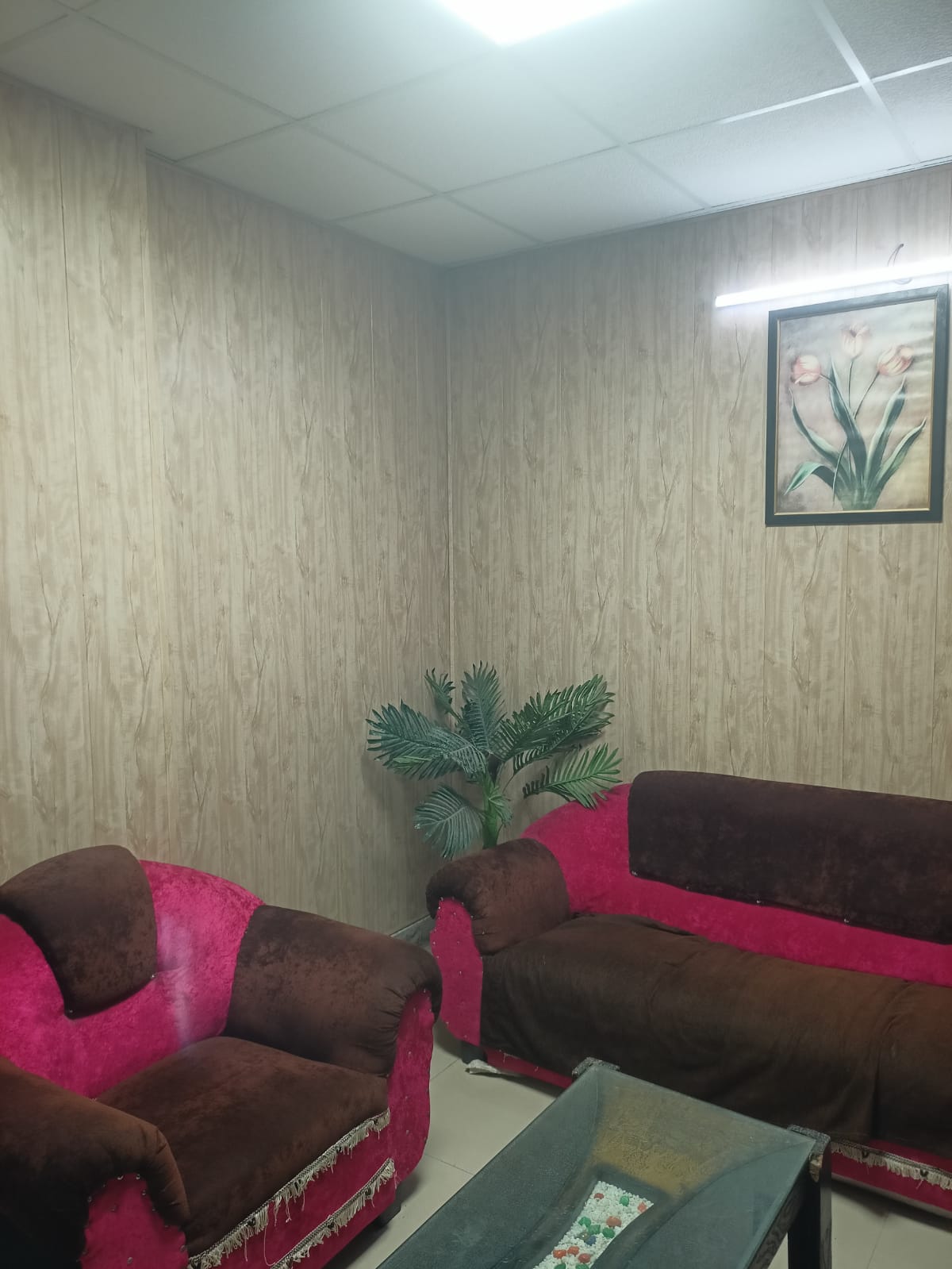 Gallery image 5
