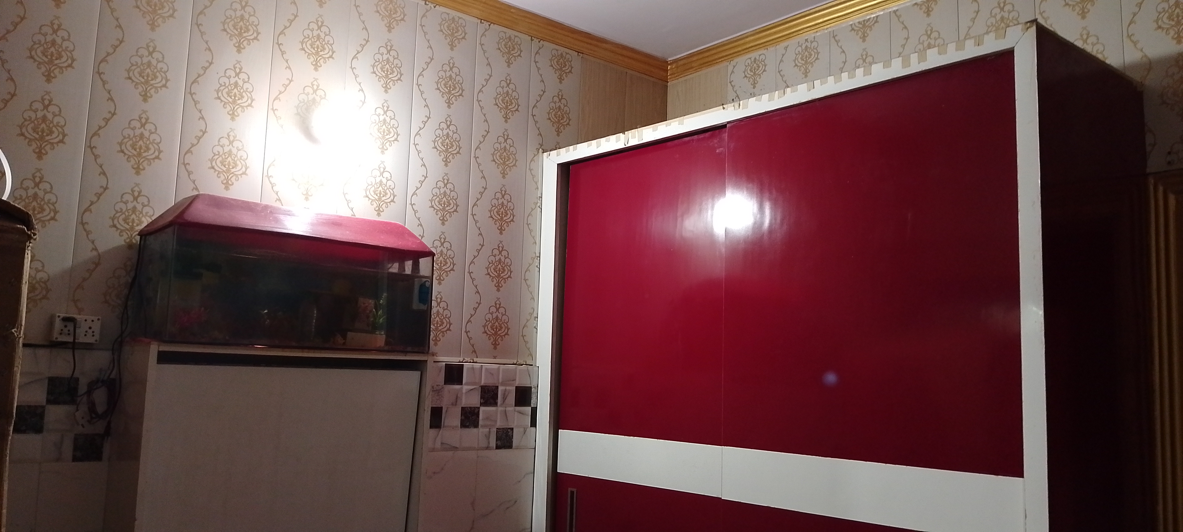 Gallery image 7