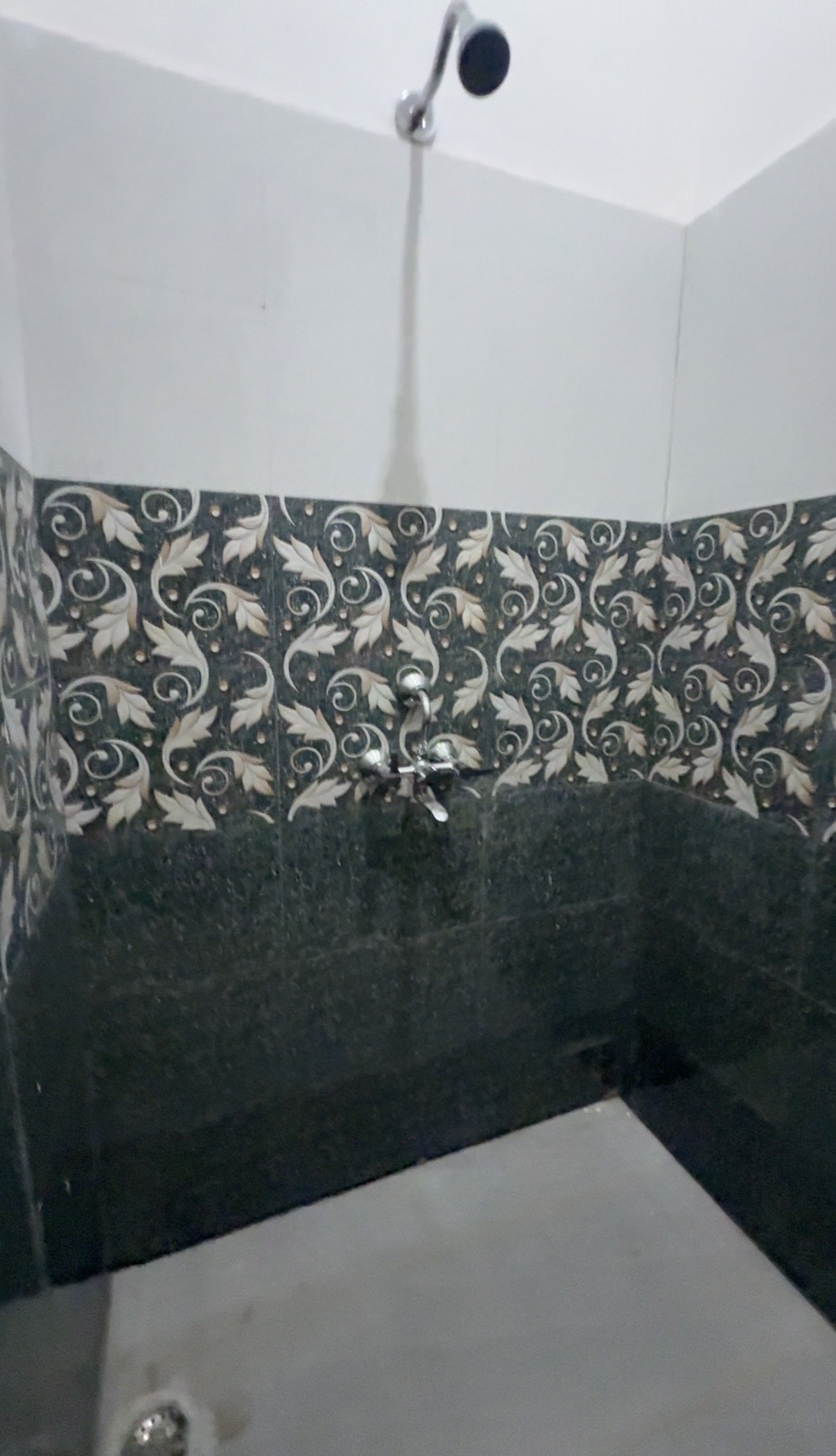 Gallery image 10