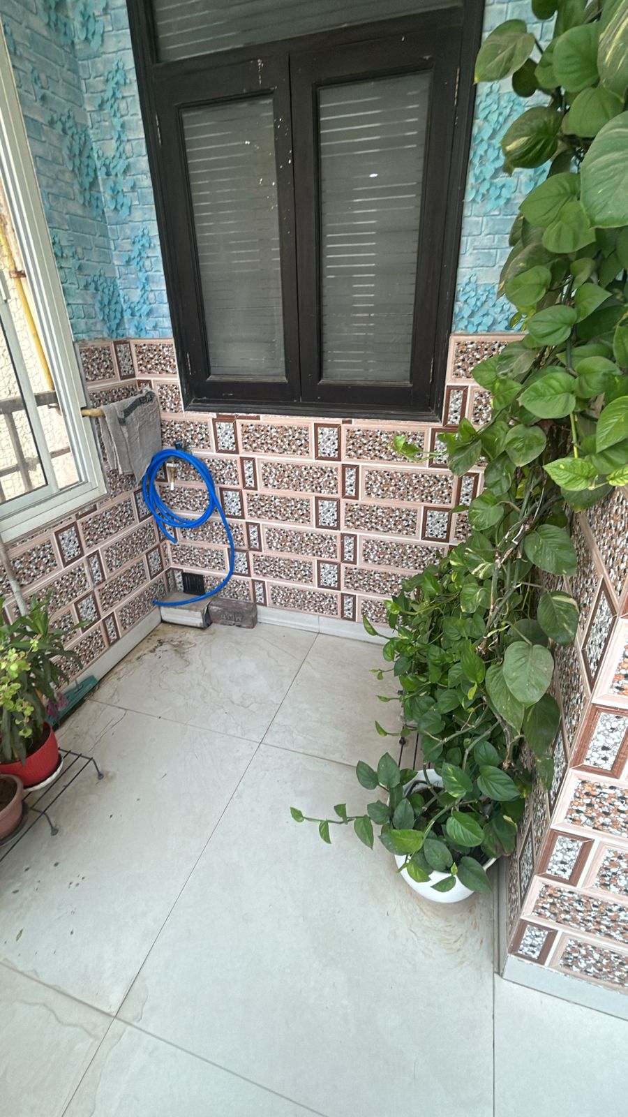 Gallery image 14