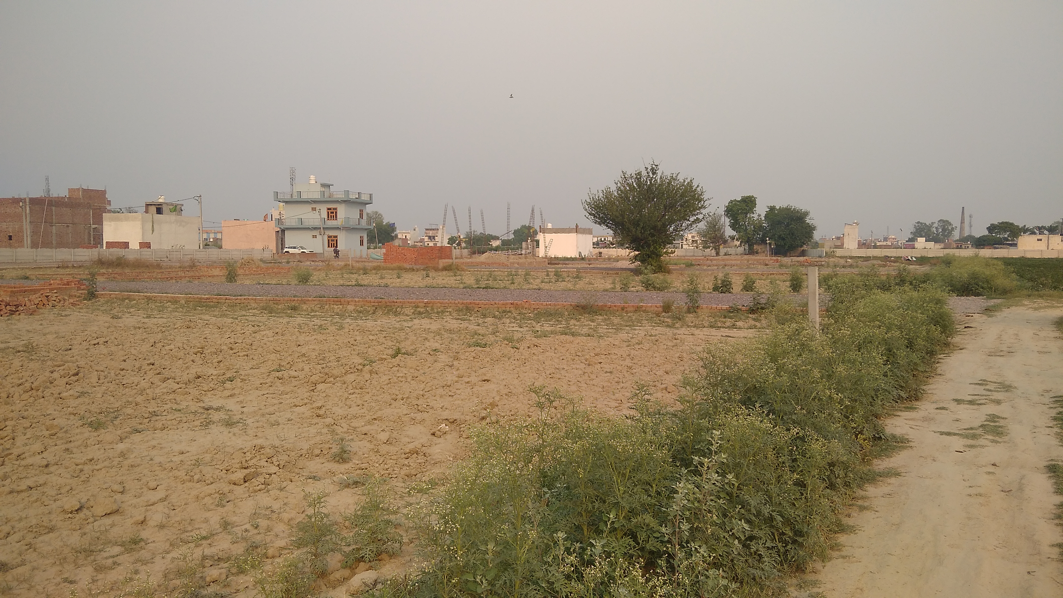 Gallery image 2
