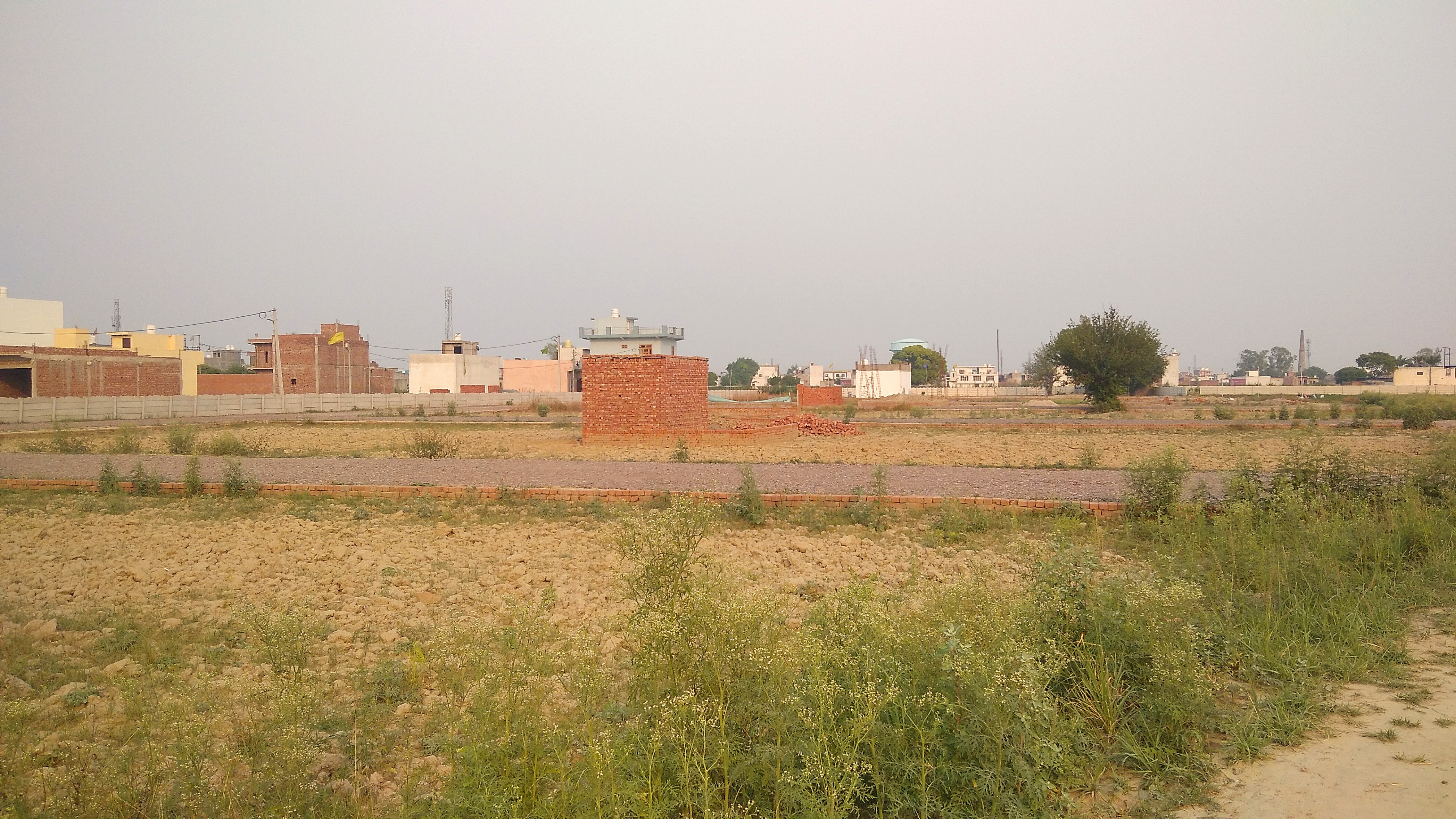 Gallery image 5