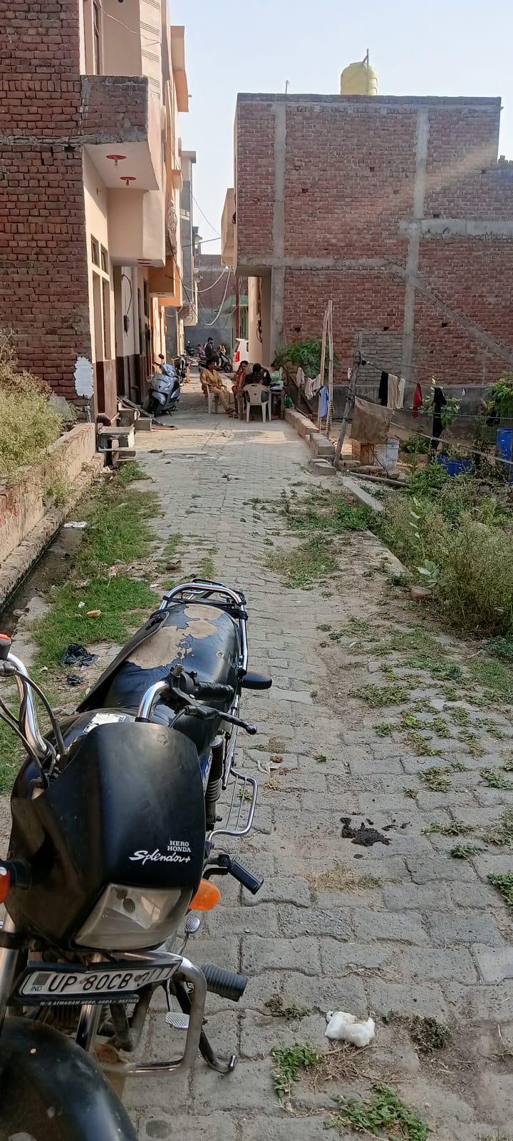 Gallery image 4